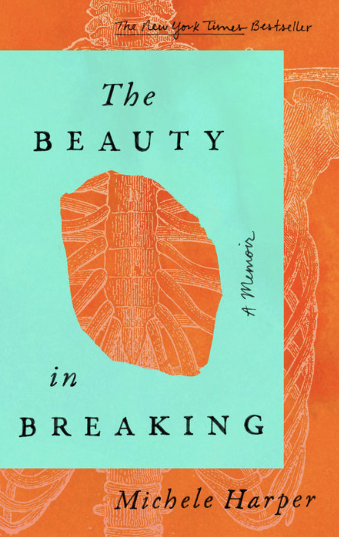 Book cover image Beauty in Breaking