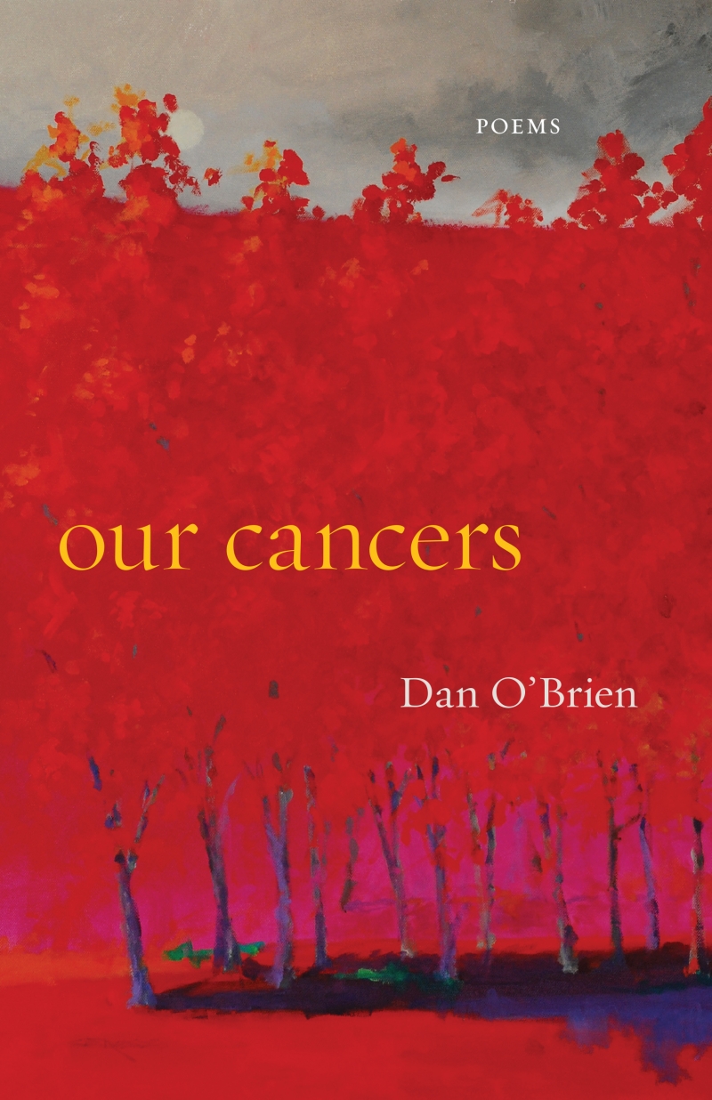 Our Cancers book cover image