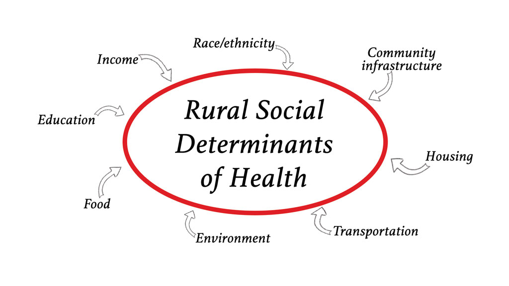 Link to Rural Social Determinants of Health PDF